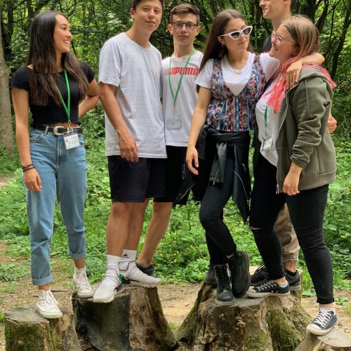 ELEA participants standing on tree stumps.
