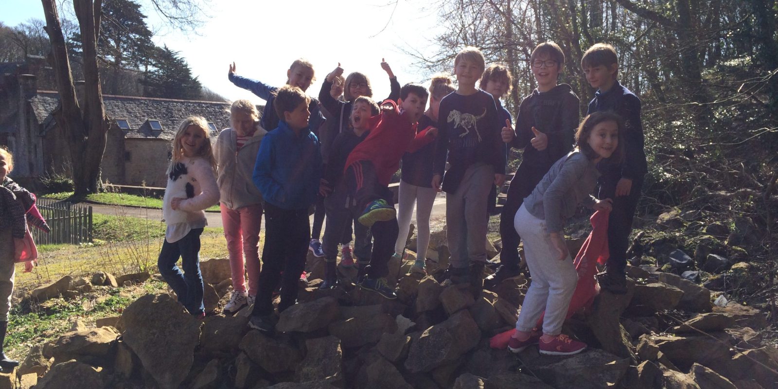 Activity camp