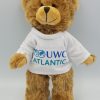 Gift Teddy - 20cm - Image 2