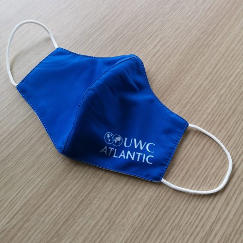 Face Mask – Blue