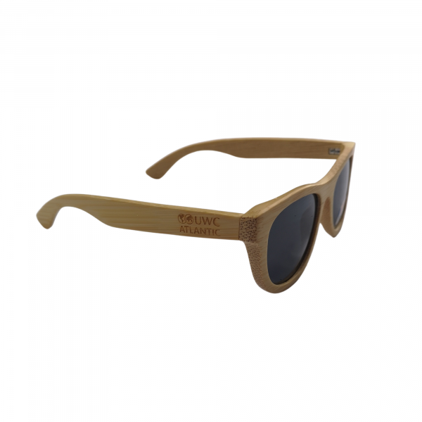 Bamboo Sunglasses