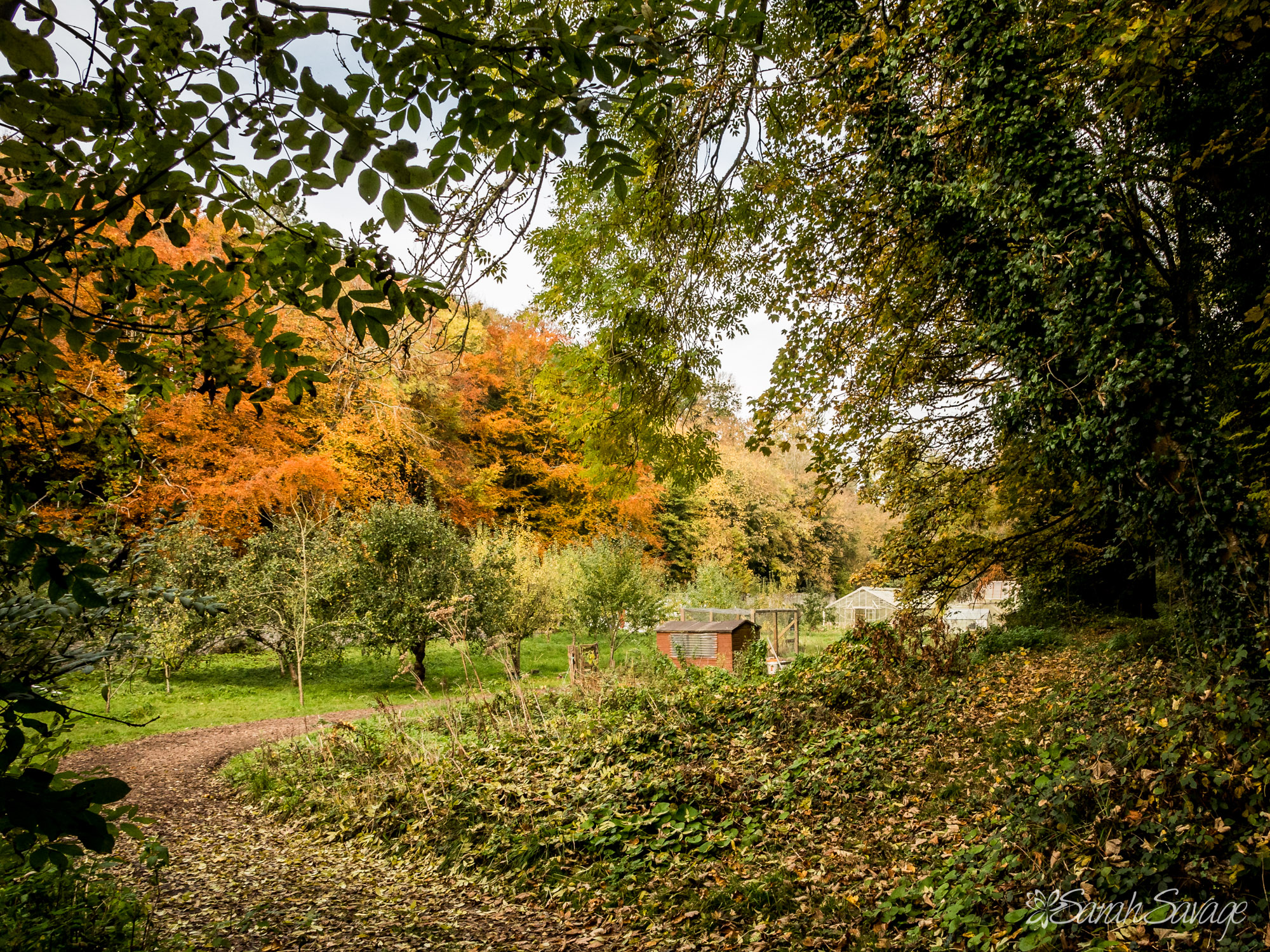 Nature Trail - UWC Atlantic Experience