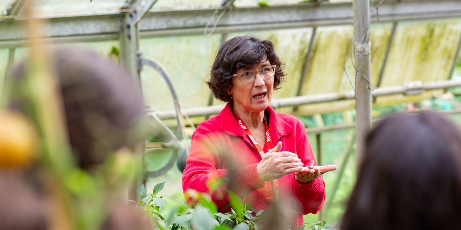 Lady in red in a greenhouse talking to a group